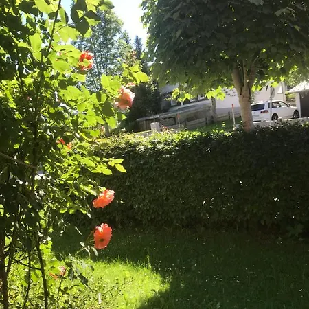 Haus Petra * أوبيردوش